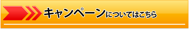 キャンペーンについて