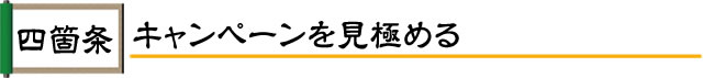 キャンペーンを見極める